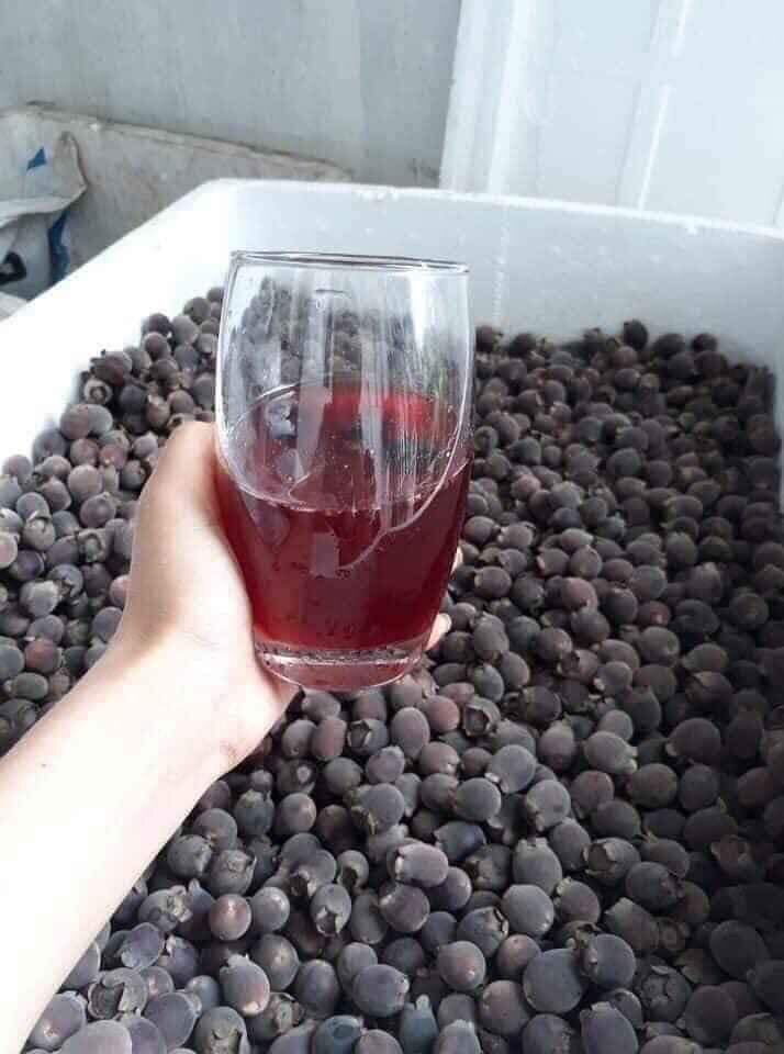 Quả Sim rừng khô Tây Bắc 130k/kg