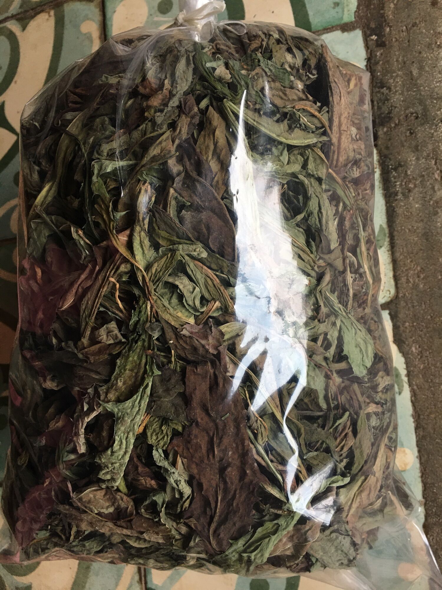 Lá huyết dụ khô