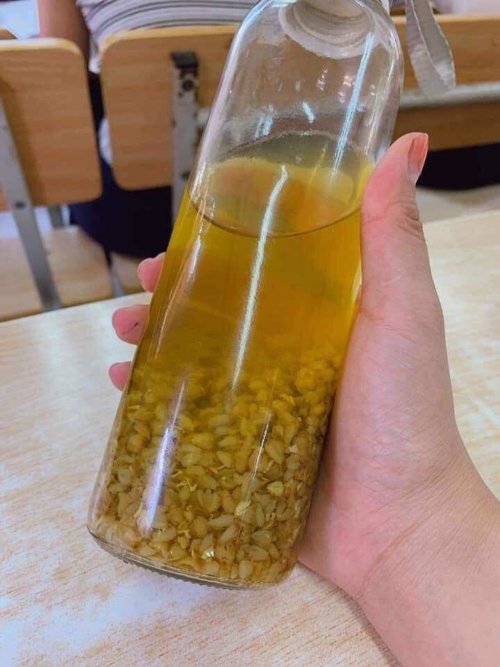 Trà Kiều Mạch Fcha