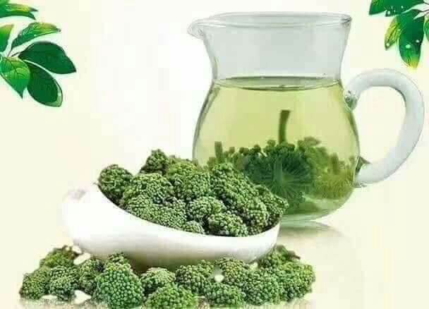 500g nụ tam thất bao tử