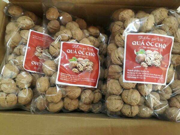 1kg óc chó