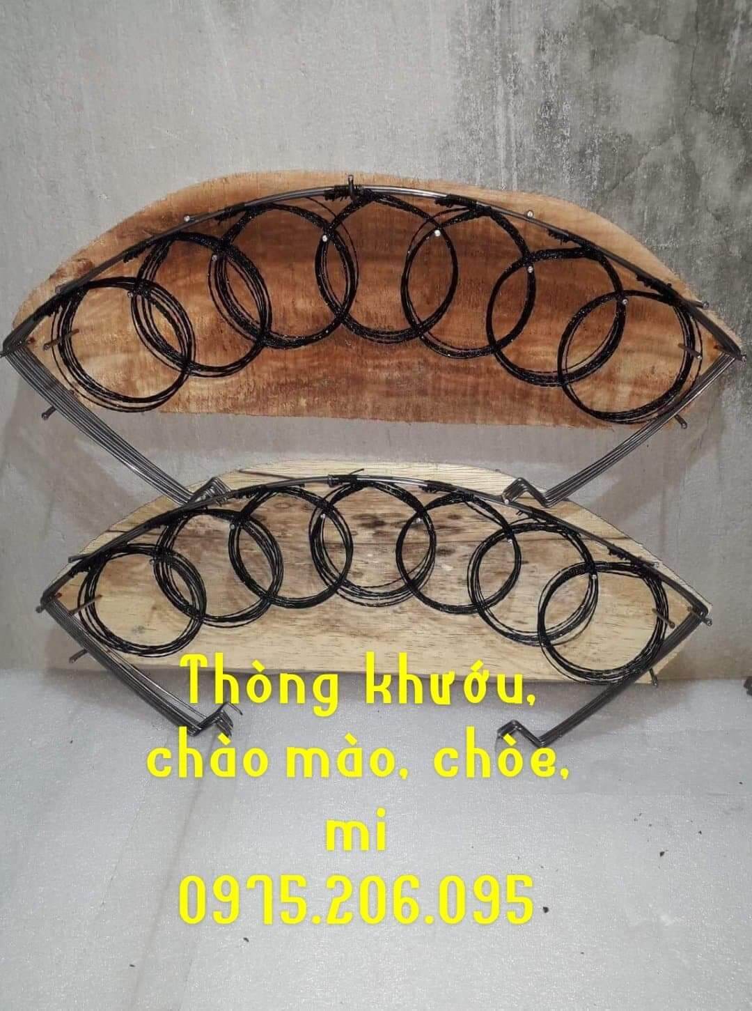thòng bẫy chào mào 160k