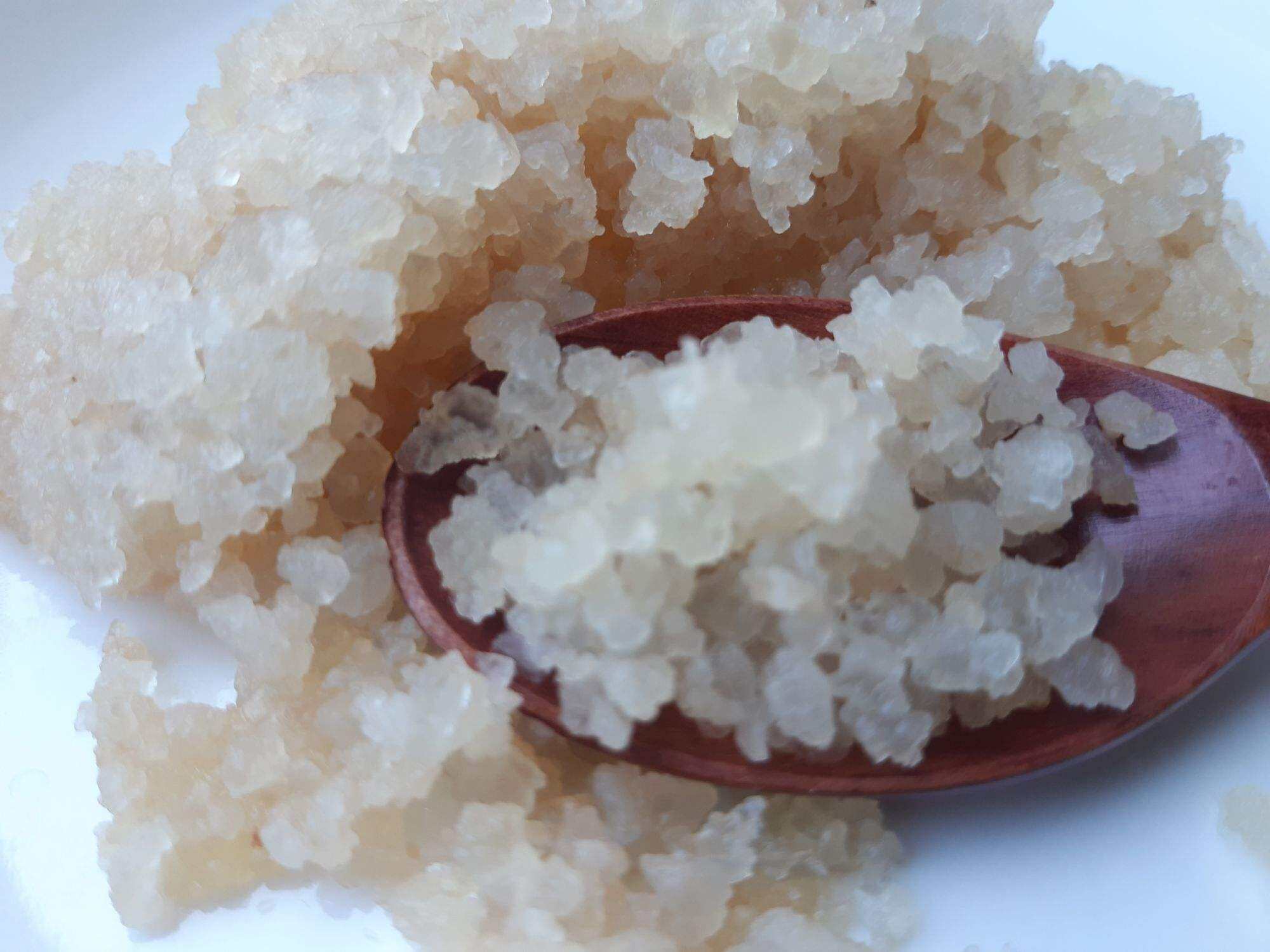 nấm nước kefir( water kefir) đã thuần dừa