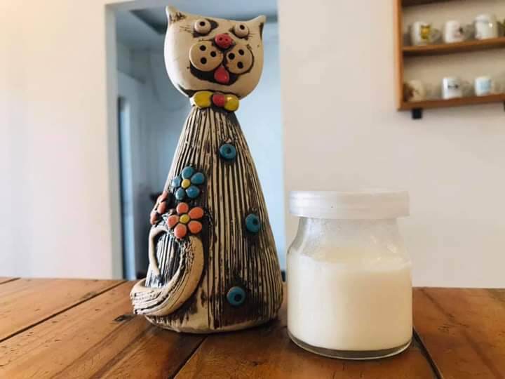 combo nấm sữa kefir 5gr và rây lộc nấm 9cm...
