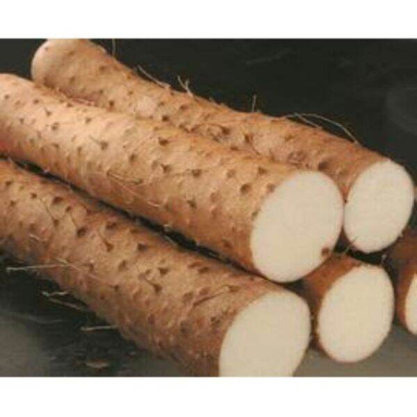 250g củ mài