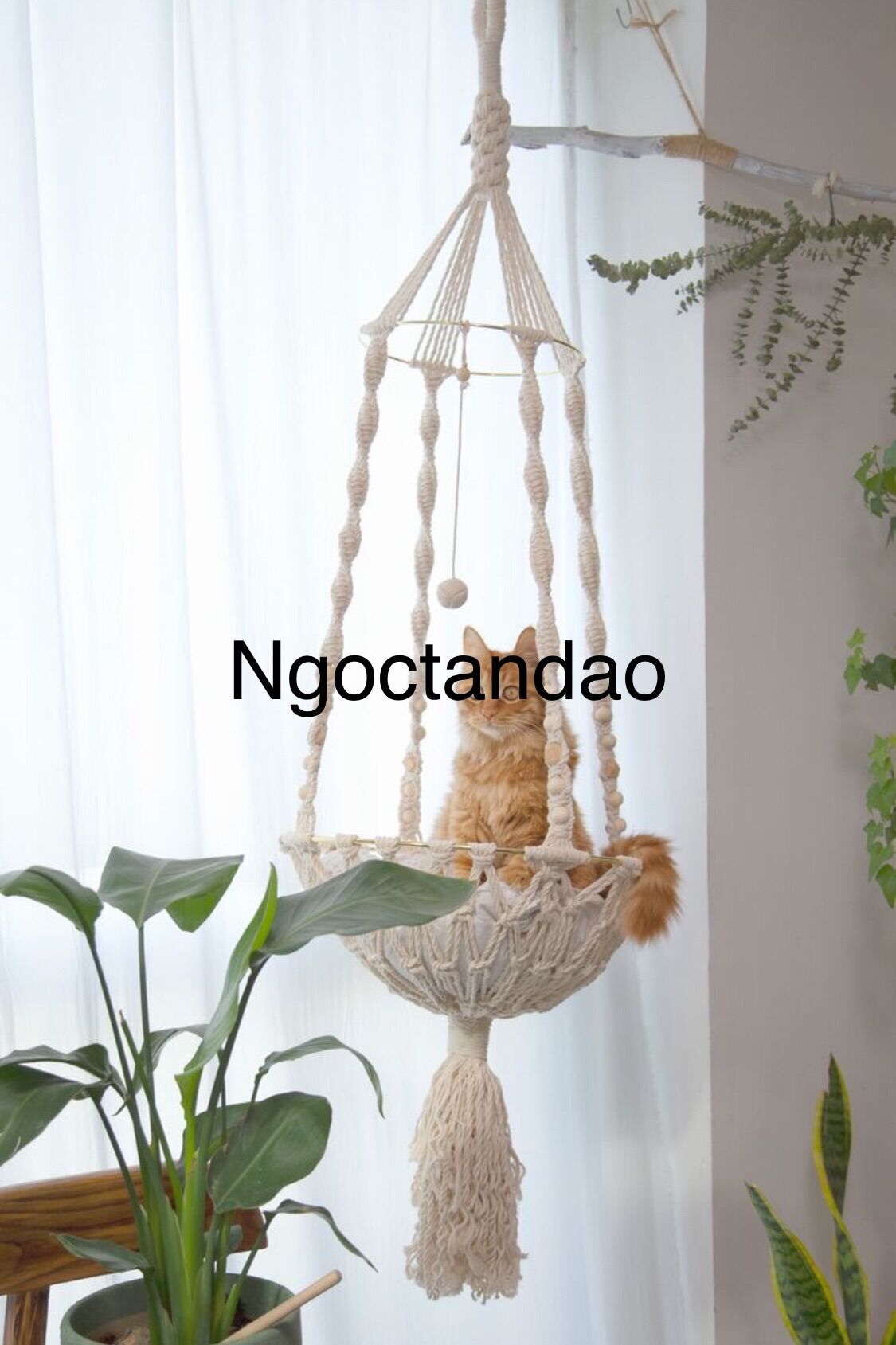 Võng treo cho mèo, xích đu cho mèo, võng treo decor