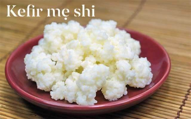 nấm sữa kefir 35k ngon cực kỳ