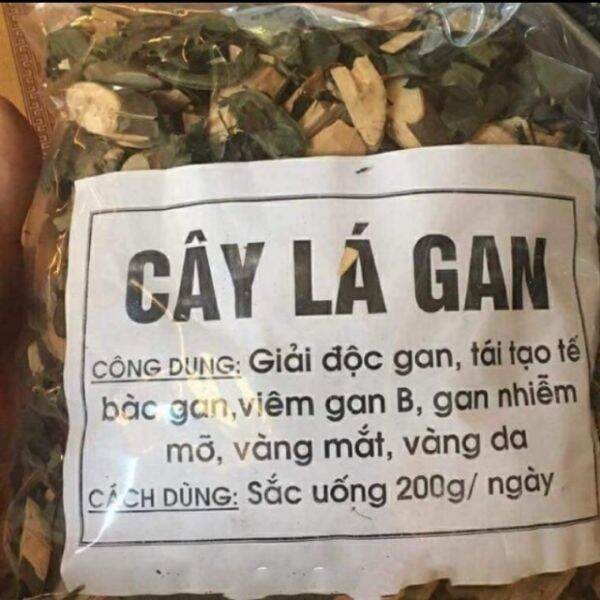 1kg cây lá gan