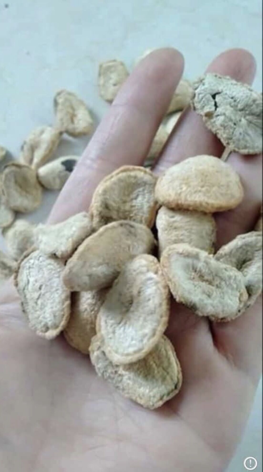 [HOT] 10 Hạt Sang đau dạ dày và đại tràng( hạt trắng)