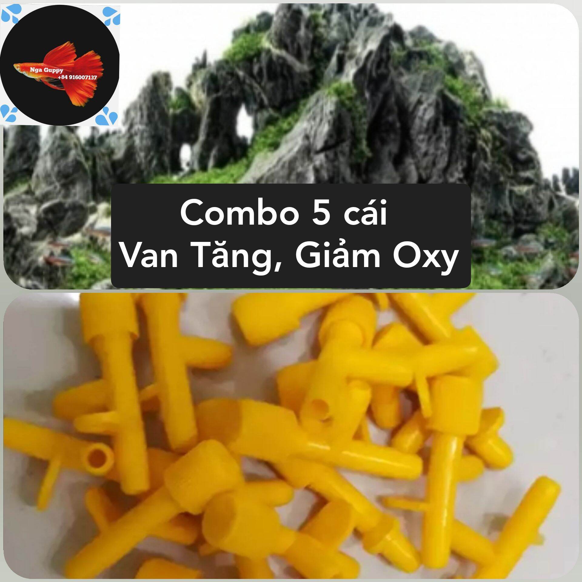 [HCM]Van khóa tăng giảm oxi