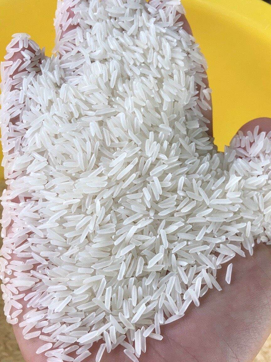 Gạo thơm lài miên túi 5kg thơm, dẻo ,dai