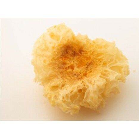 [HCM]100gr Nấm tuyết (Ngân Nhĩ) - LOẠI NÁT