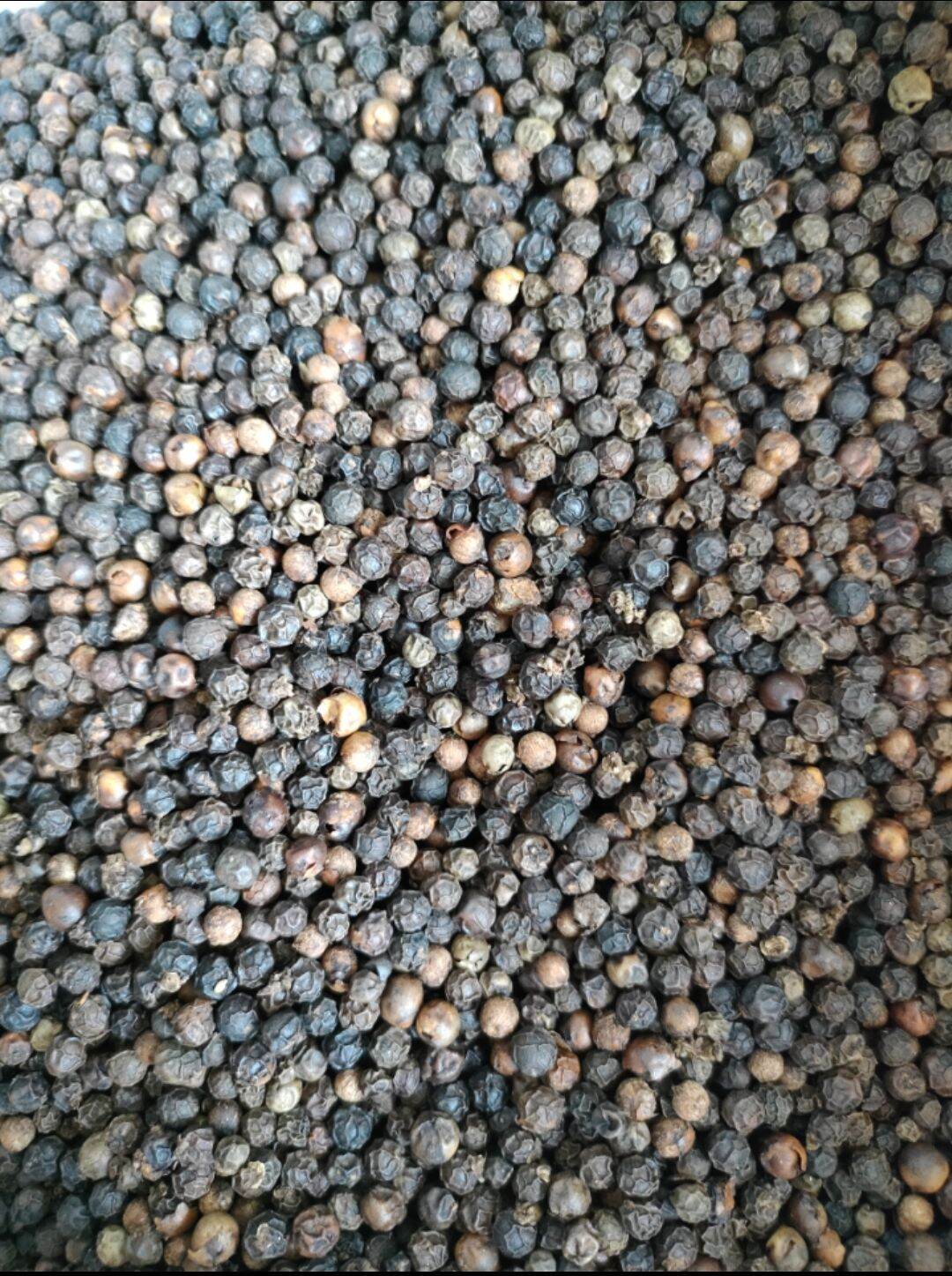 1kg tiêu đen daklak