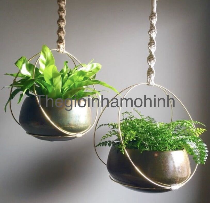 Giá treo cây, giá trồng cây không khí, kệ treo, decor, trang trí không gian