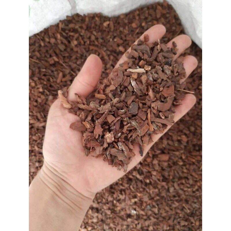 1 Kg Vỏ Thông Vụn Hạt Đỗ