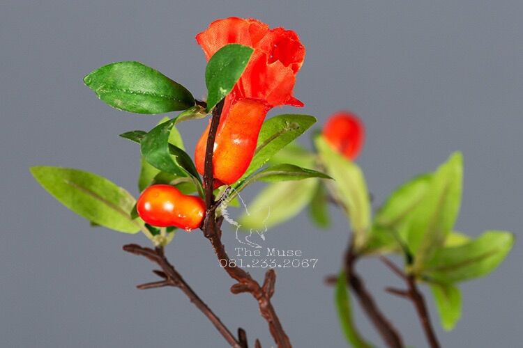Hoa Lựu - Cành Hoa Decor - Trang Trí Nhà cửa