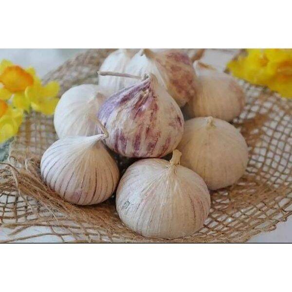 500g tỏi cô đơn