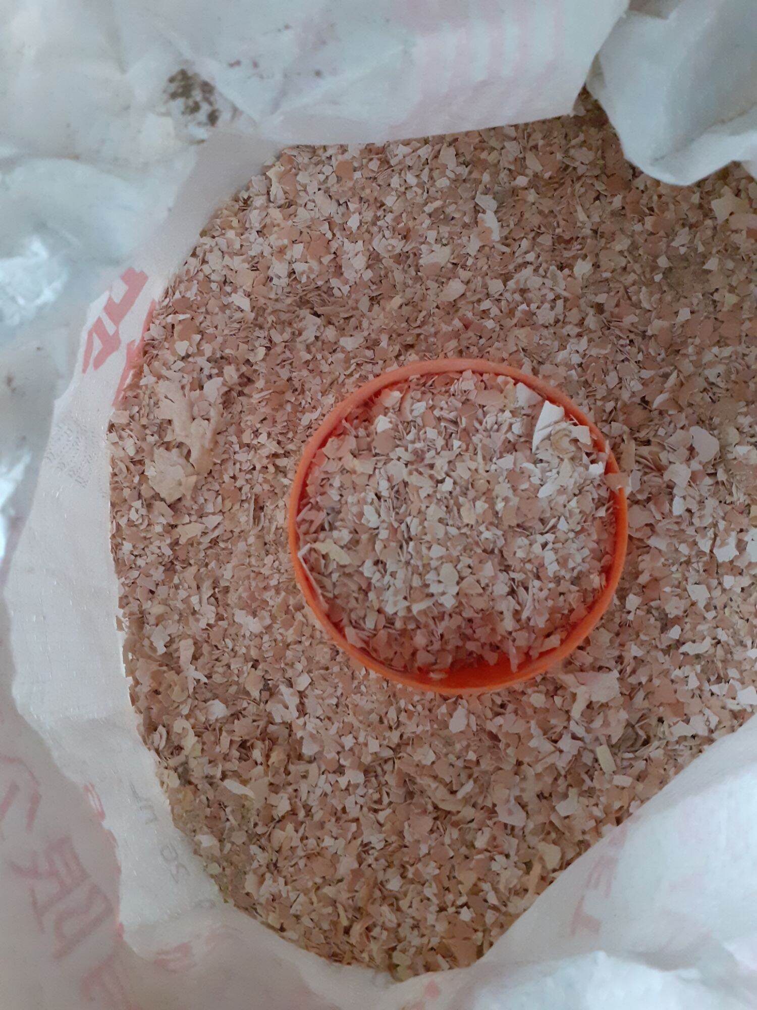 Vỏ trứng trồng cây