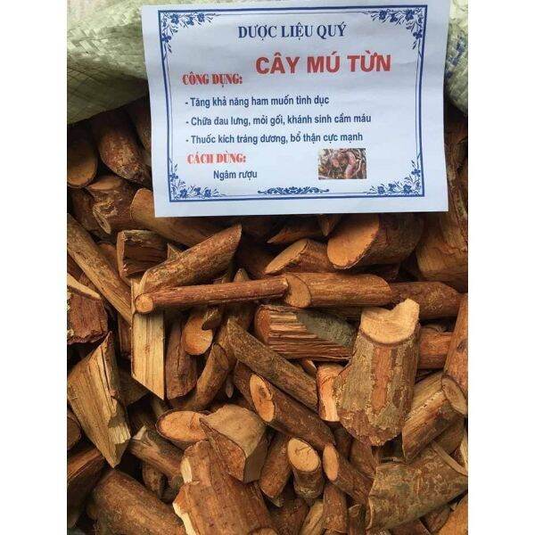 500g cây mú từn