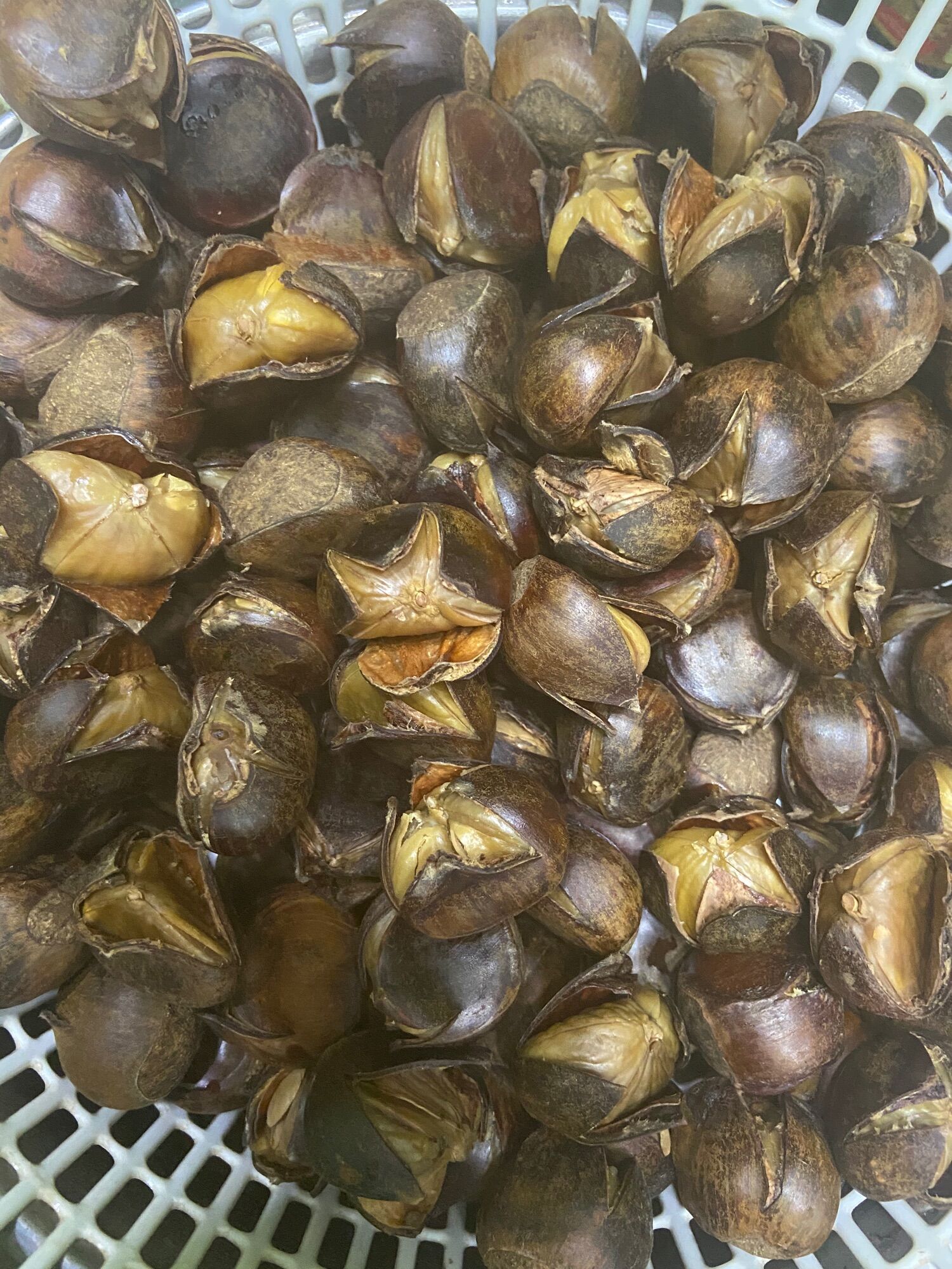 Hạt dẻ tươi tách vỏ luộc sẵn