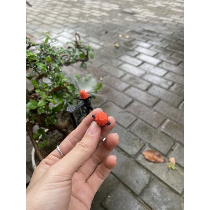 ĐẦU TƯỚI PHUN XOÈ 180 độ bộ 10 cái
