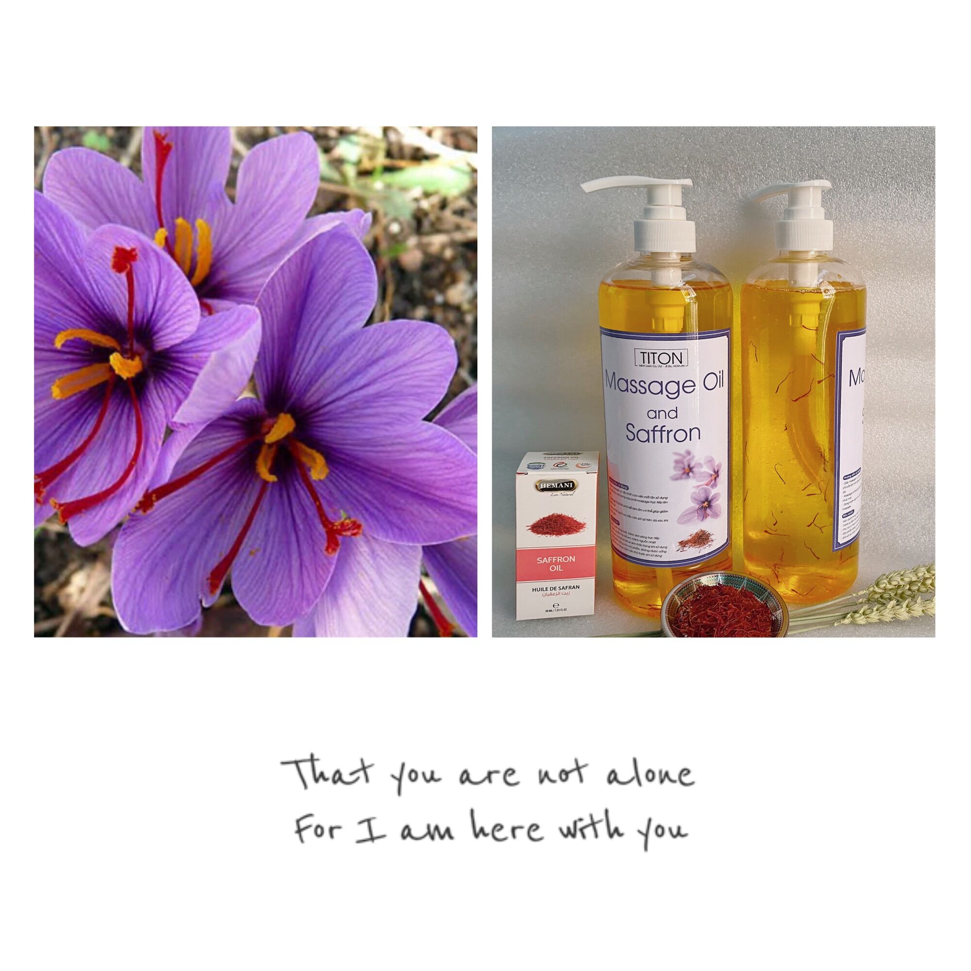 Dầu Massage Body tinh dầu Saffron tự nhiên