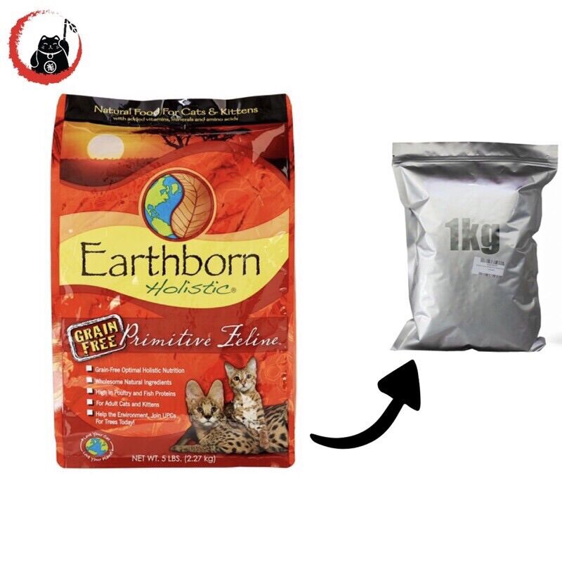 Thức ăn chi mèo Earthborn Holistic 1kg