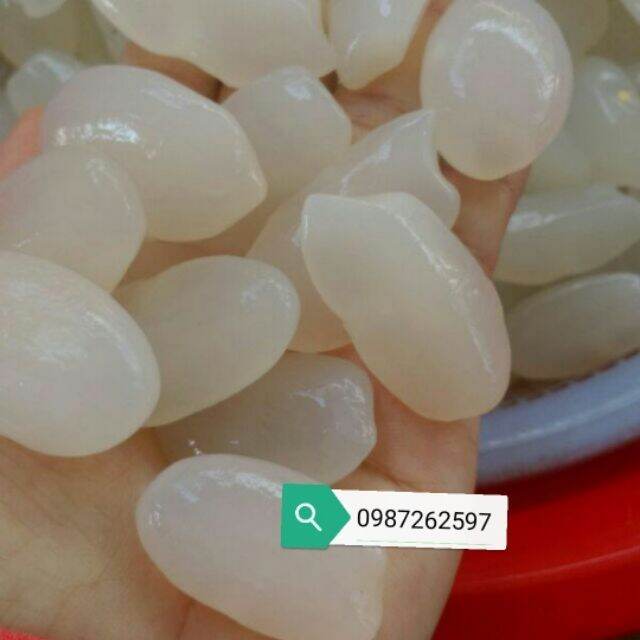 1kg hạt đác nha trang loại lớn