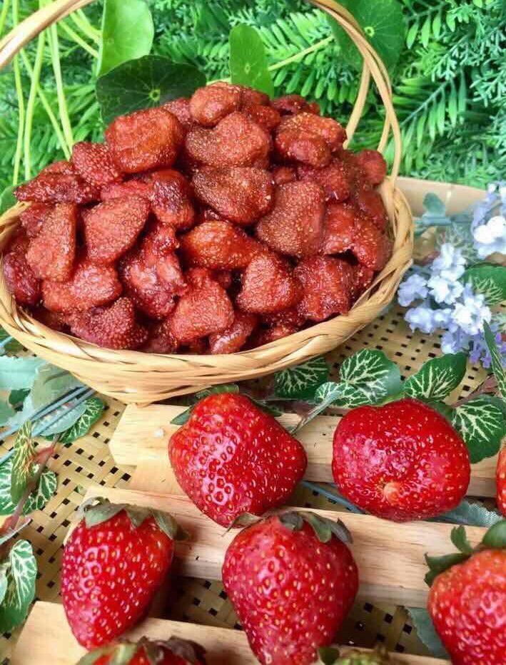 [Dalat’93food] Dâu sấy dẻo Đà Lạt- hủ 500g