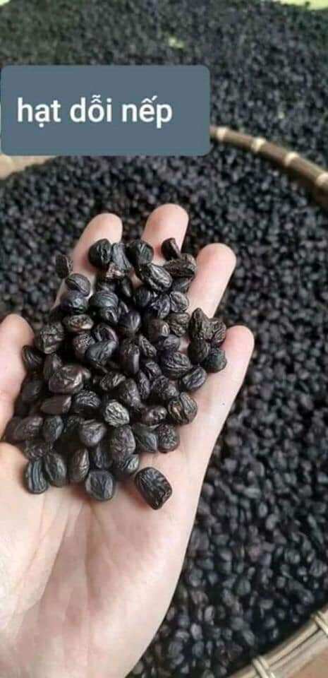 500g hạt dổi nếp rừng