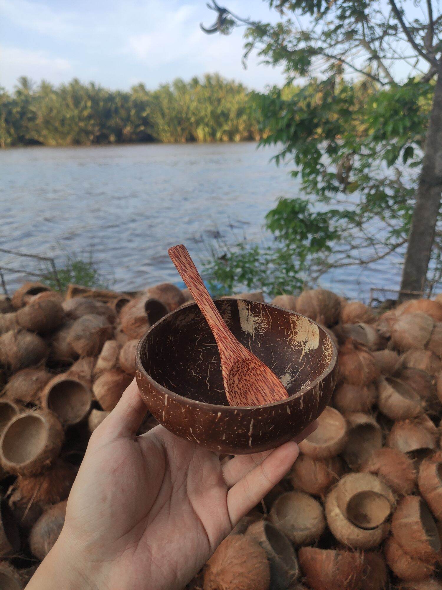 Coconut Bowl && Coconut Wood Spoon High Quality