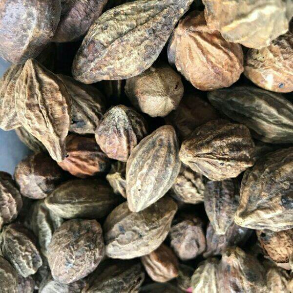 100g kha tử