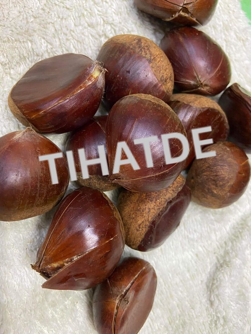 Hạt dẻ tươi tách vỏ luộc sẵn