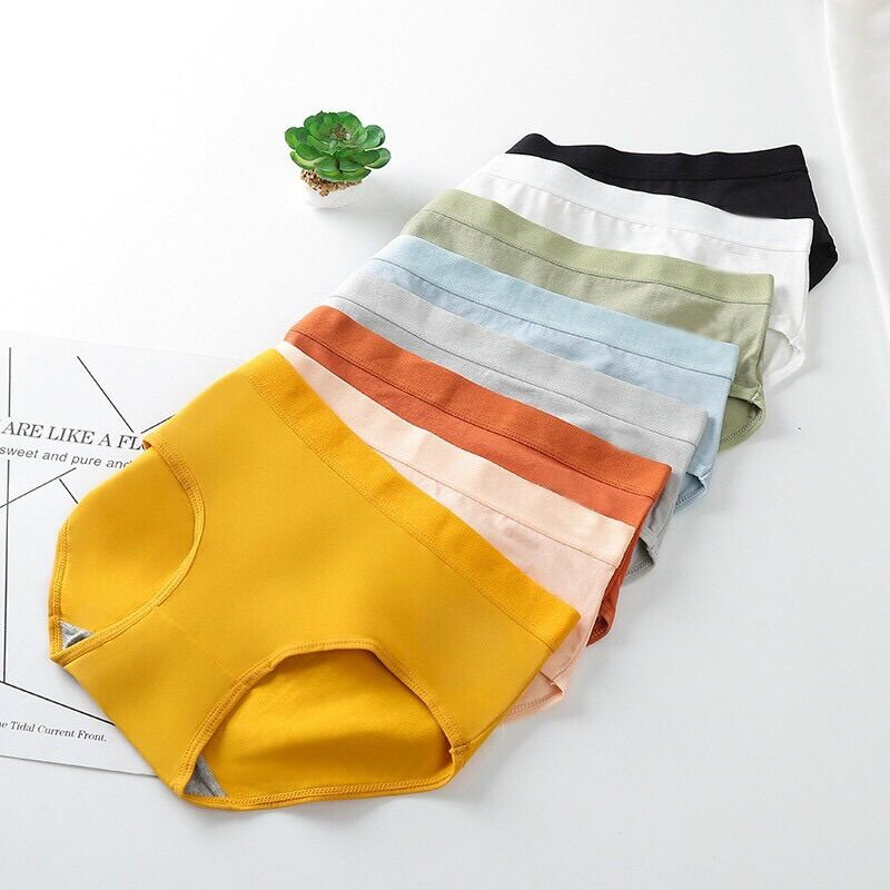 QUẦN COTTON CẠP CAO 623