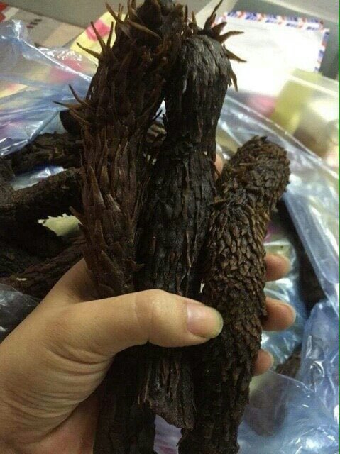 300g nhục thung dung