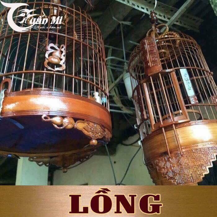 DẦU Ủ LỒNG thương hiệu Tuấn Mi (Chai 1 lít)