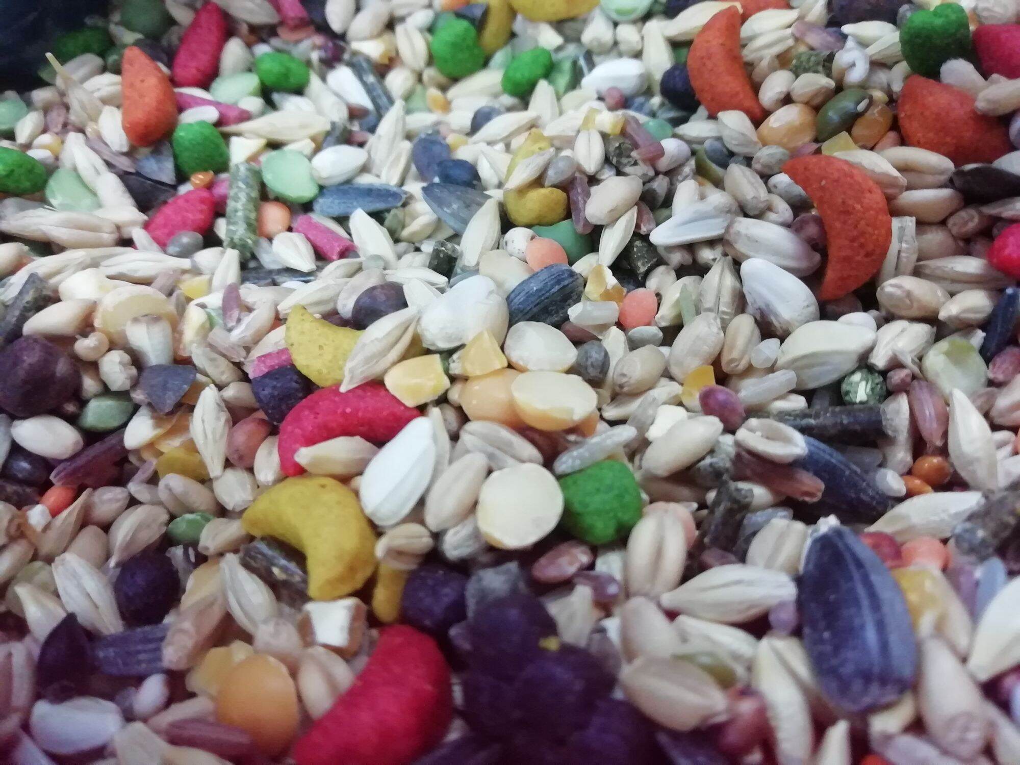 Thức ăn hỗn hợp cho vẹt có hạt trái cây 1kg