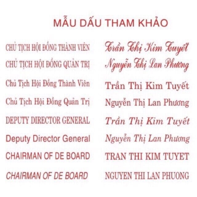 Khắc dấu tên dài Shiny S-308 ( khắc theo yêu cầu )