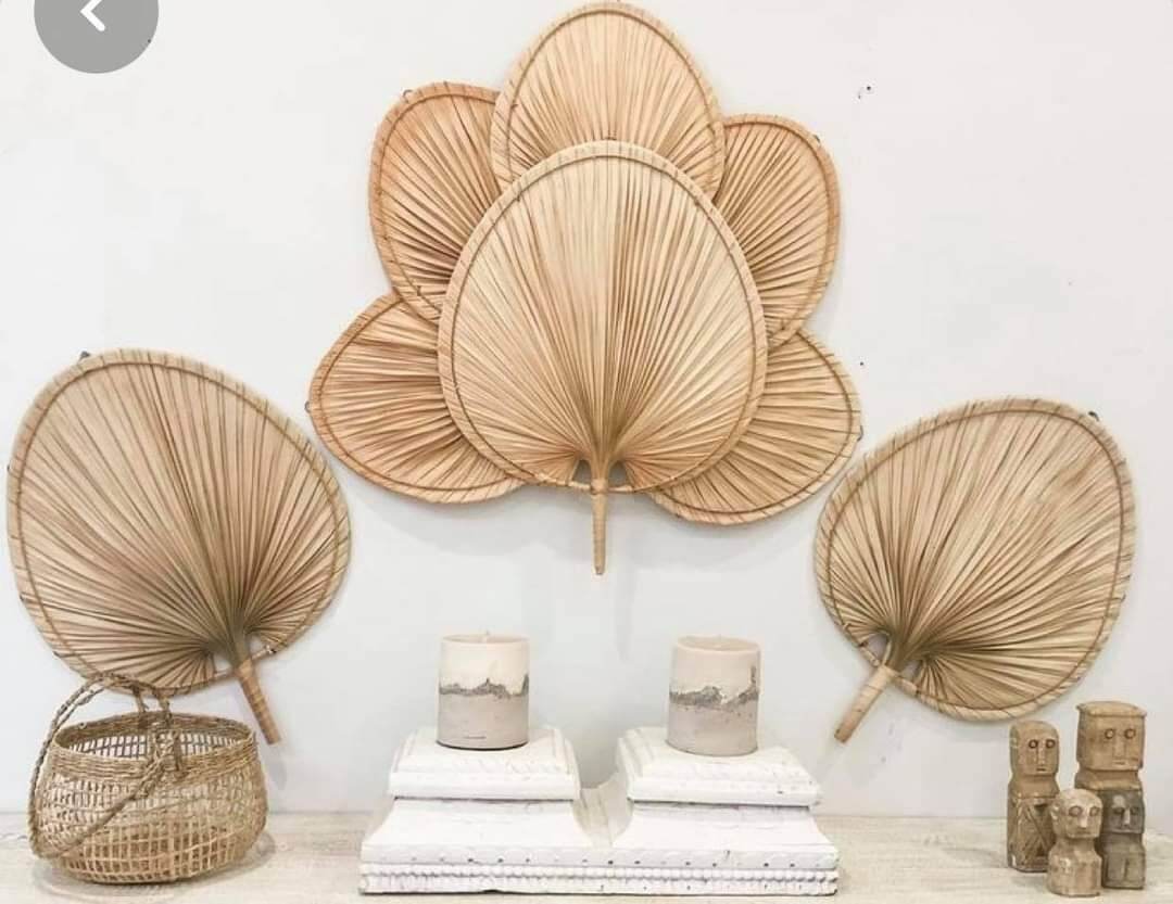 Combo 8 quạt lá cọ trang trí nội thất