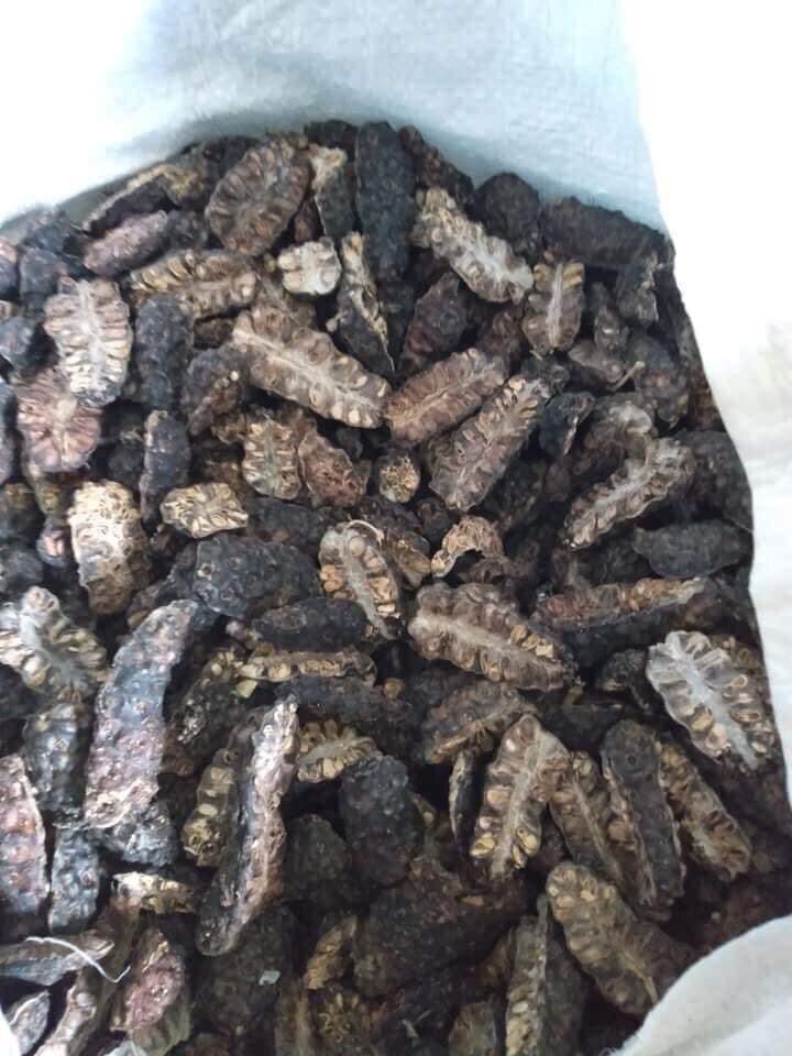[HCM]1KG Nhàu khô loại 1