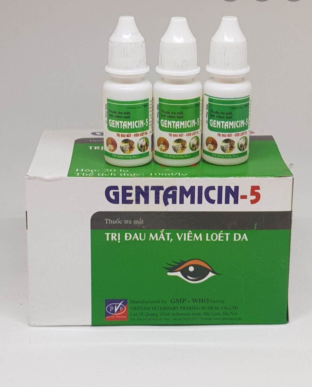 Gentamicin 5, 1 lọ 10ml nhỏ mắt