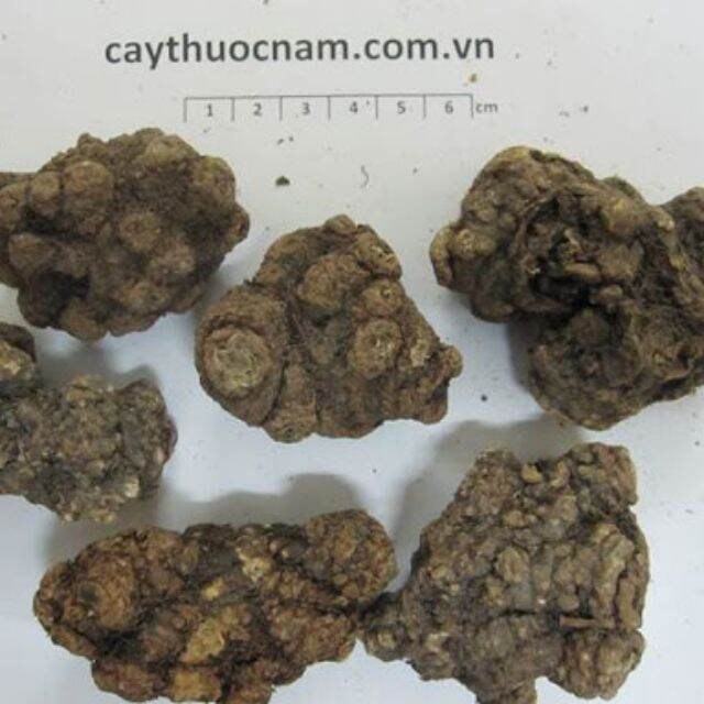 500g xuyên khung
