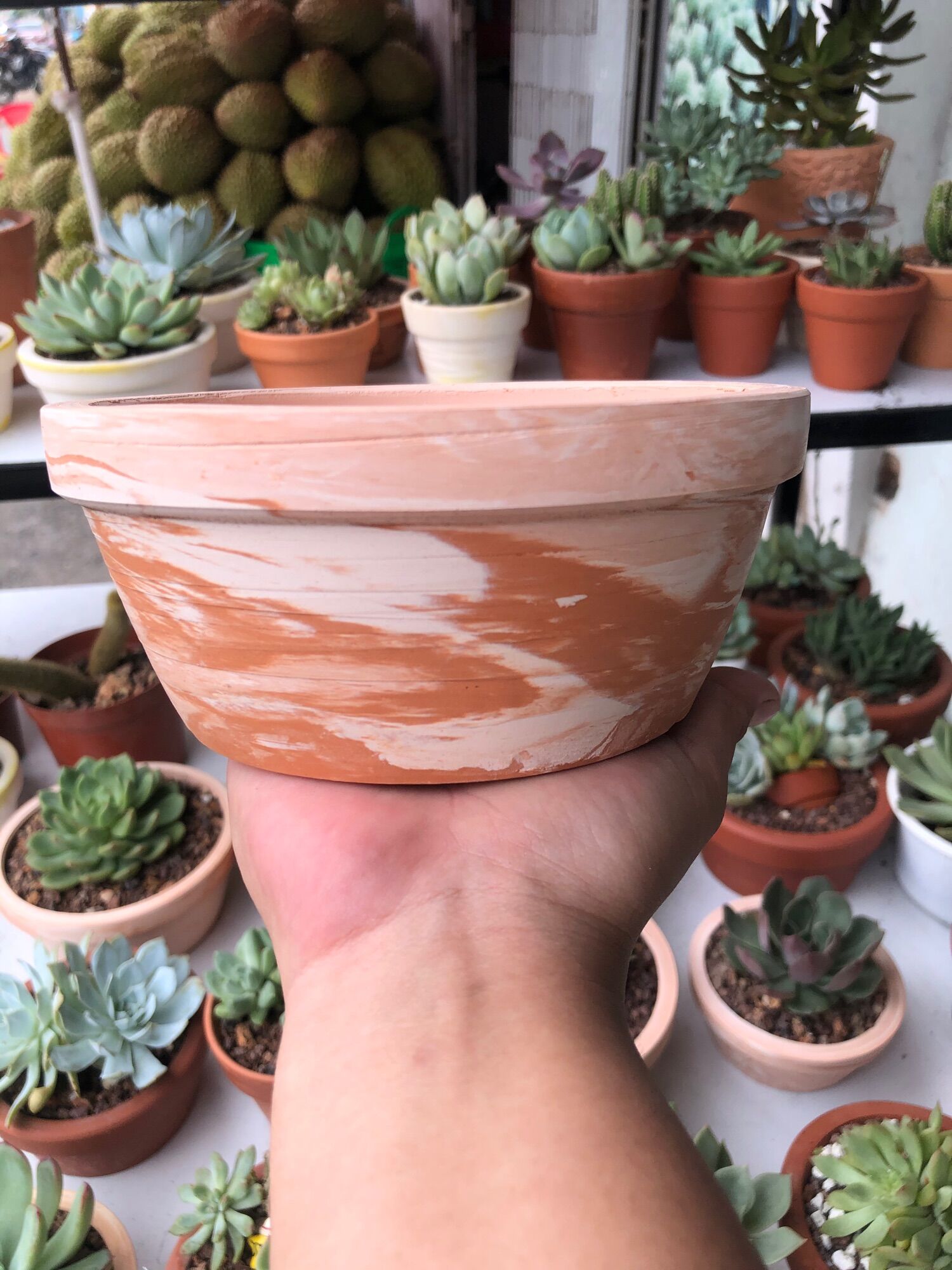 Chậu Đất Nung Gờ Trẹt cho cây cảnh nhà bạn Size 16x7