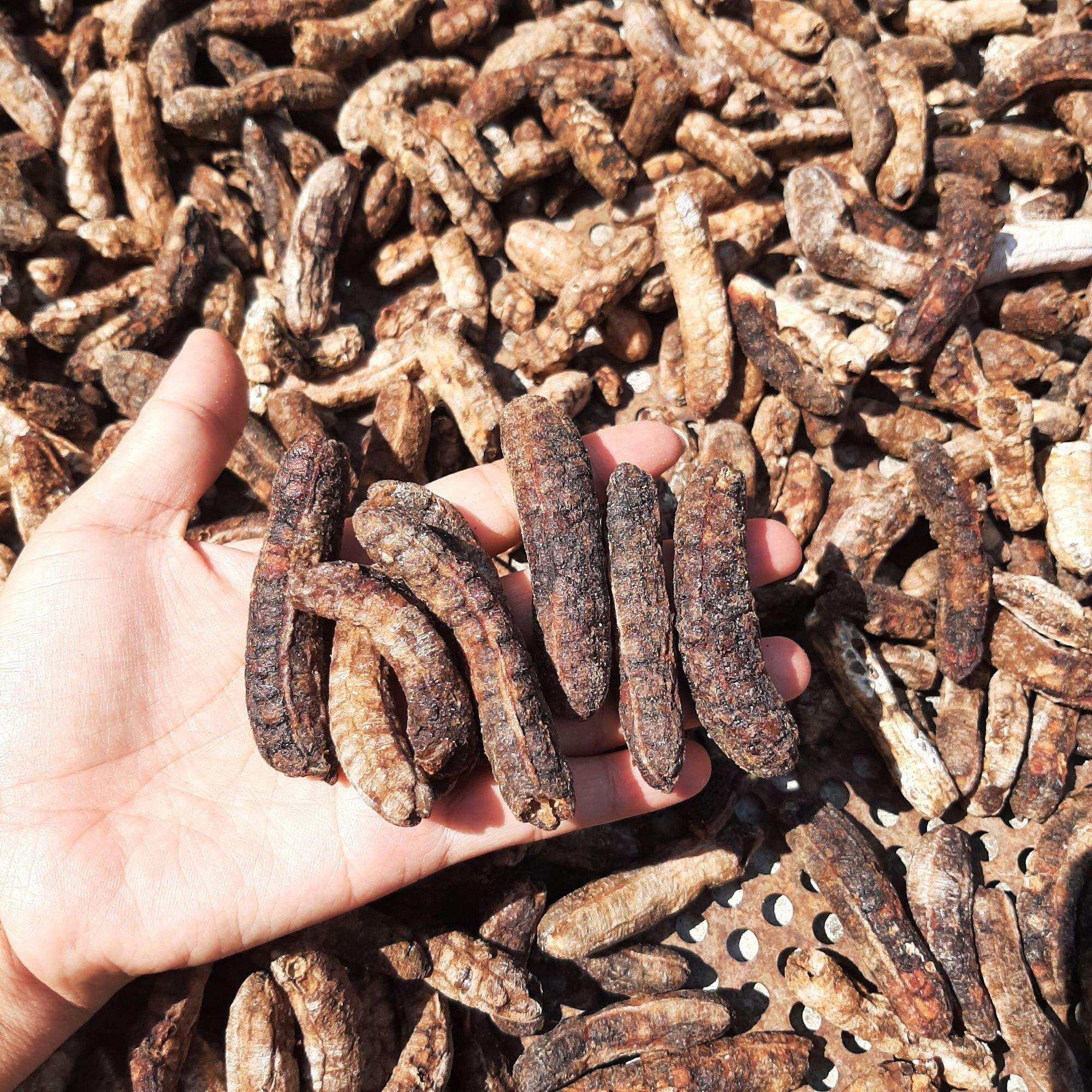 1 kg chuối rừng tây nguyên tự làm