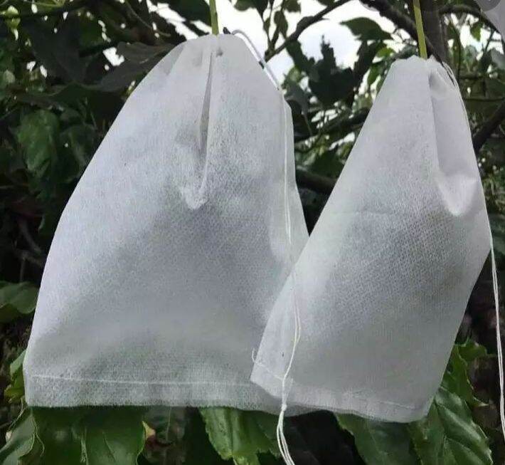 100 túi bao trắng bọc Trái cây..kích thước 21×30cm