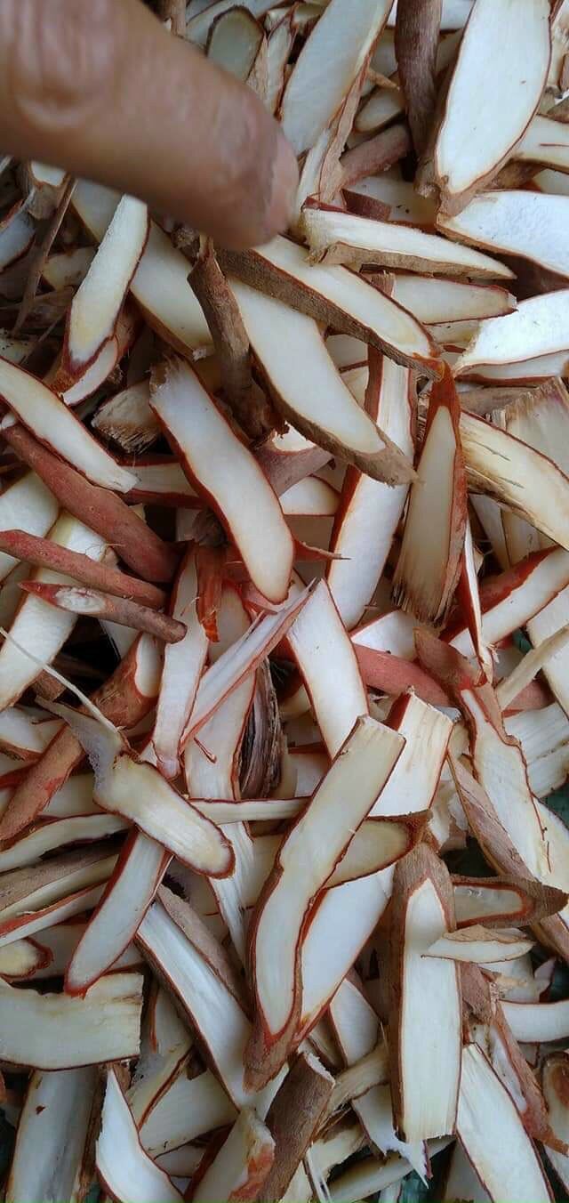 1kg sâm cau khô, hàng lựa đẹp