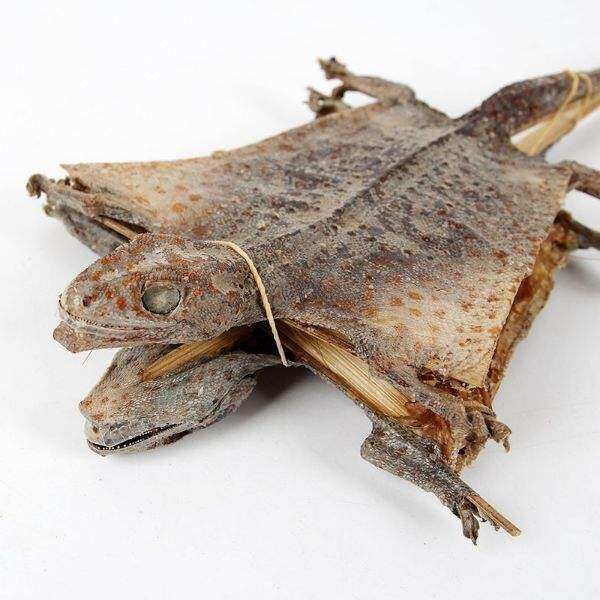 set 3 con tắc kè khô