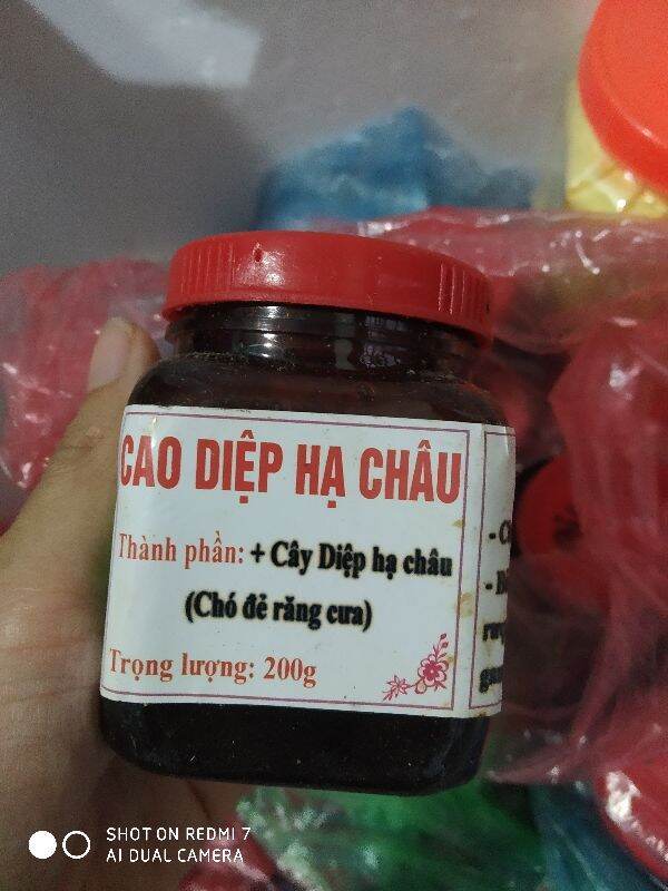 200g cao diệp hạ châu