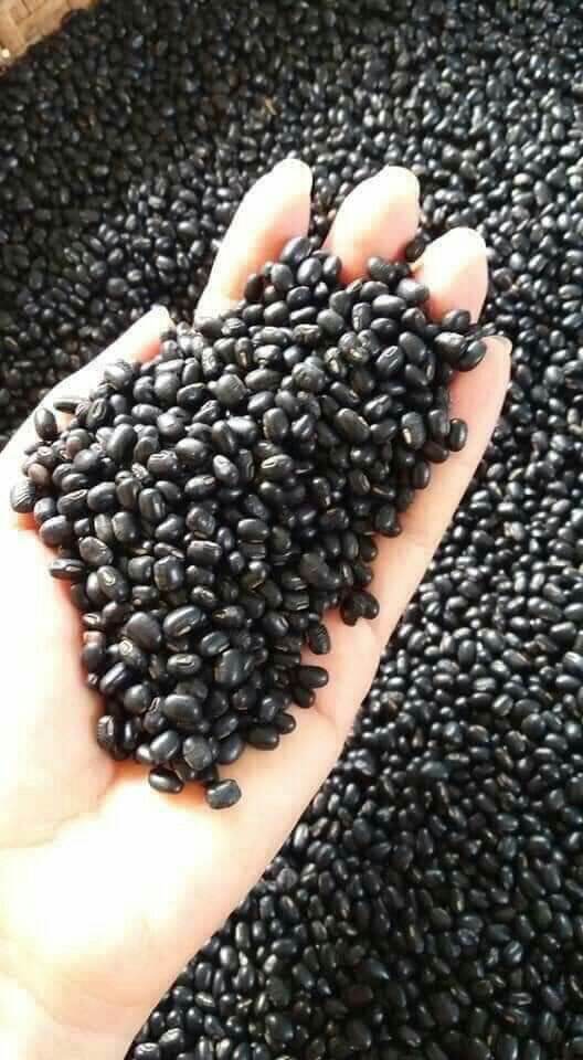 ĐỖ ĐEN TA XANH LÒNG 1KG
