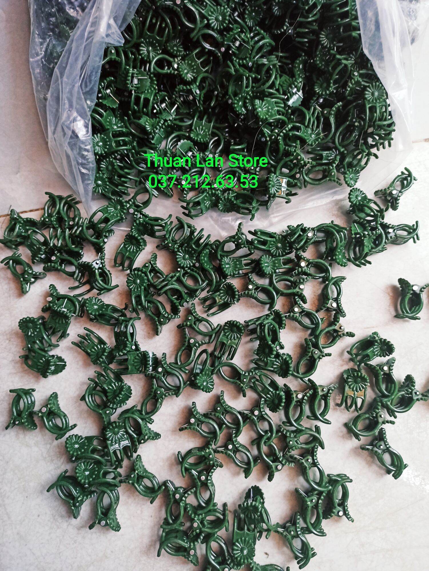 Set 20c Kẹp Cố Định Lan Size Trung